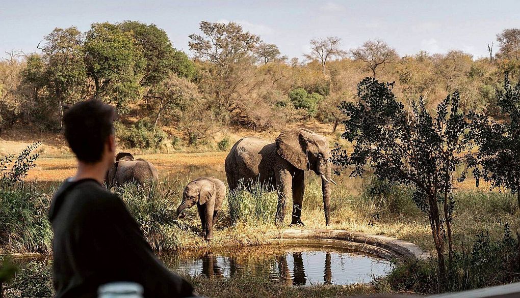 Looking at elephant whilst at breakfast, Simbavati River Lodge